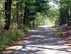 Lonely road