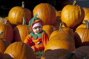 Pumpkin patch girl