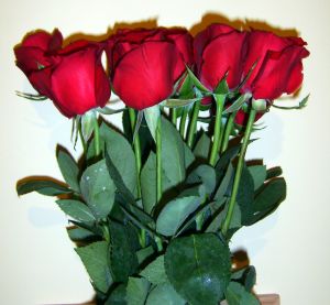 First Date Gifts First Date Gifts