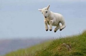 The weekend is here! Hooray! The weekend is here! Hooray!