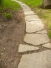 A romantic walking path. A romantic walking path.