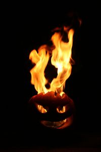 2010's last pumpkin picture 2010's last pumpkin picture