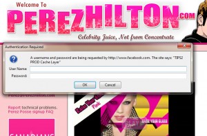Facebook error shows up on PerezHilton.com pages
