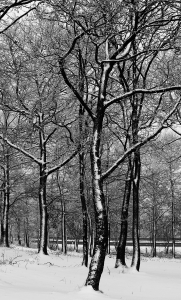 Snowfall, the devil's work! Snowfall, the devil's work!