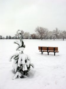 It's a regular winter Monday It's a regular winter Monday
