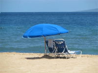 Summer Dream Cash Contest Summer Dream Cash Contest