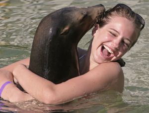 Seal of happiness Seal of happiness