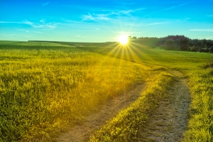 The dawning of your next phase of life Sunrise over a golden field