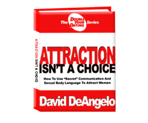 Attraction eBook 15% Off