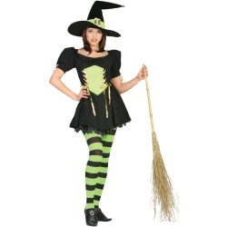 The Emerald Witch Adult Costume