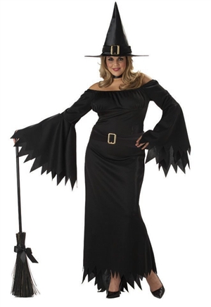 Elegant Witch Adult Plus Halloween Costume